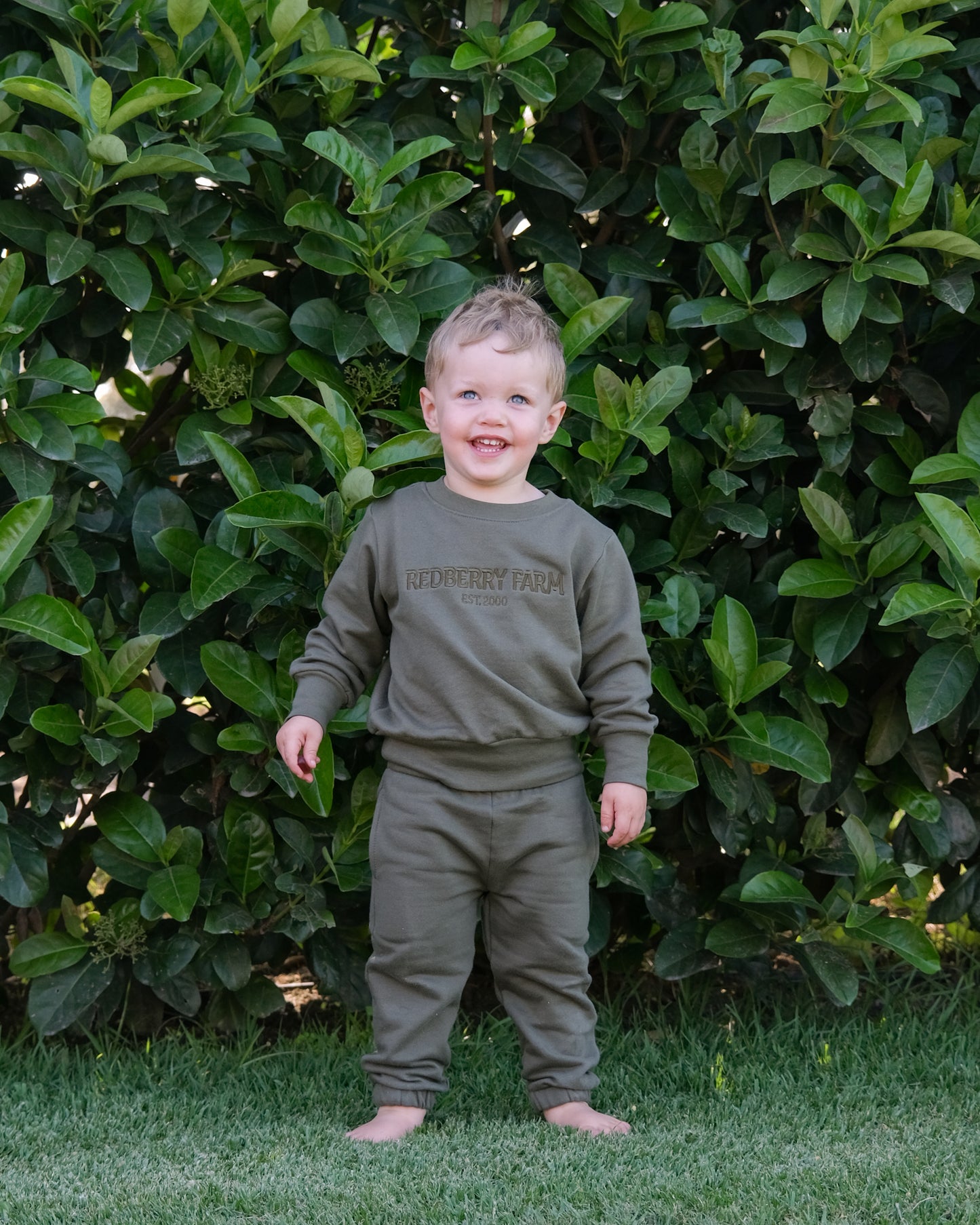 Redberry Farm Tracksuits Pants